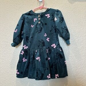 Velvety Green bluey Dress Longsleeve Girls Toddler 18 Months